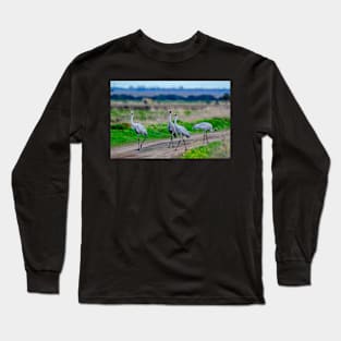 Brolgas on a journey Long Sleeve T-Shirt